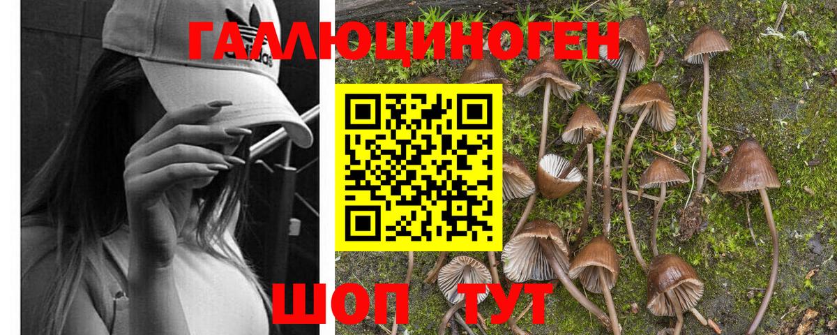 Галлюциногенные грибы Magic Shrooms  купить наркотики цена  Беслан 
