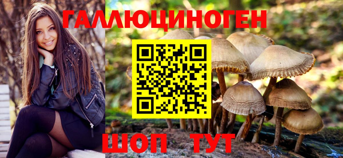 закладка  Псилоцибиновые грибы ЛСД  Псилоцибиновые грибы Magic Shrooms  Вход с VPN  Беслан 
